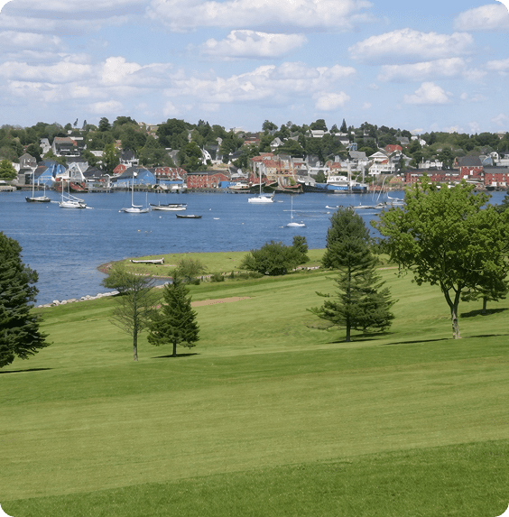 Green park with trees overlooking a harbor filled with boats under a partly cloudy sky.